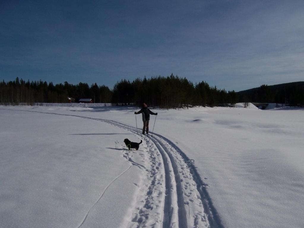 Nya Skogsgarden Hostel Marbacken ภายนอก รูปภาพ